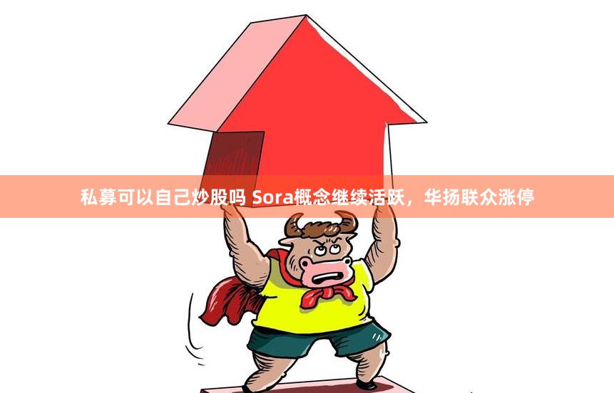 私募可以自己炒股吗 Sora概念继续活跃，华扬联众涨停