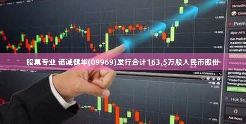 股票专业 诺诚健华(09969)发行合计163.5万股人民币股份