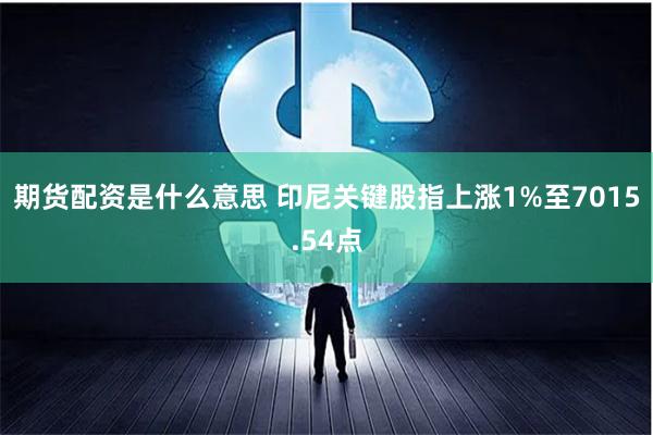 期货配资是什么意思 印尼关键股指上涨1%至7015.54点