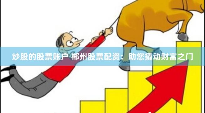 炒股的股票账户 郴州股票配资：助您撬动财富之门