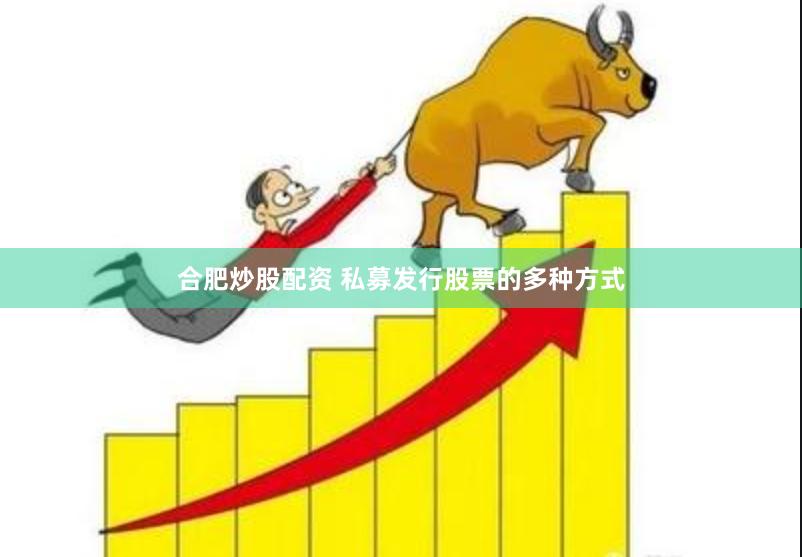 合肥炒股配资 私募发行股票的多种方式