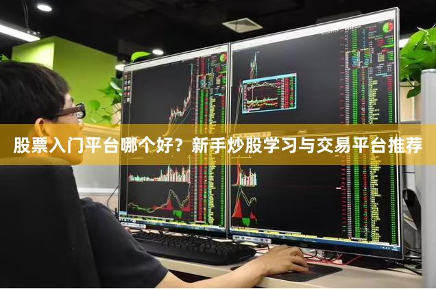 股票入门平台哪个好？新手炒股学习与交易平台推荐