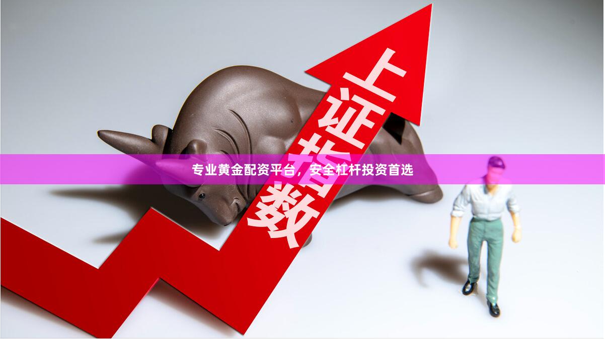 专业黄金配资平台，安全杠杆投资首选