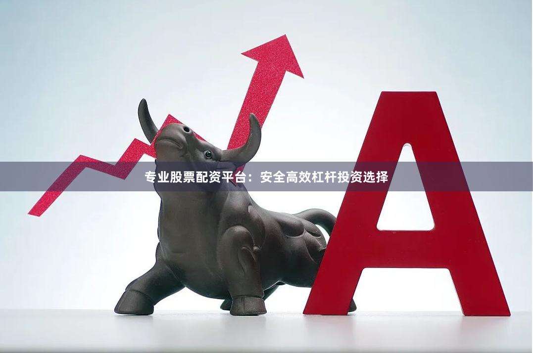 专业股票配资平台：安全高效杠杆投资选择