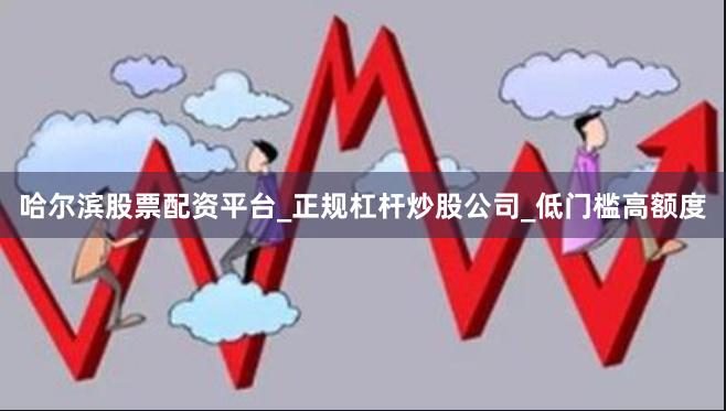哈尔滨股票配资平台_正规杠杆炒股公司_低门槛高额度